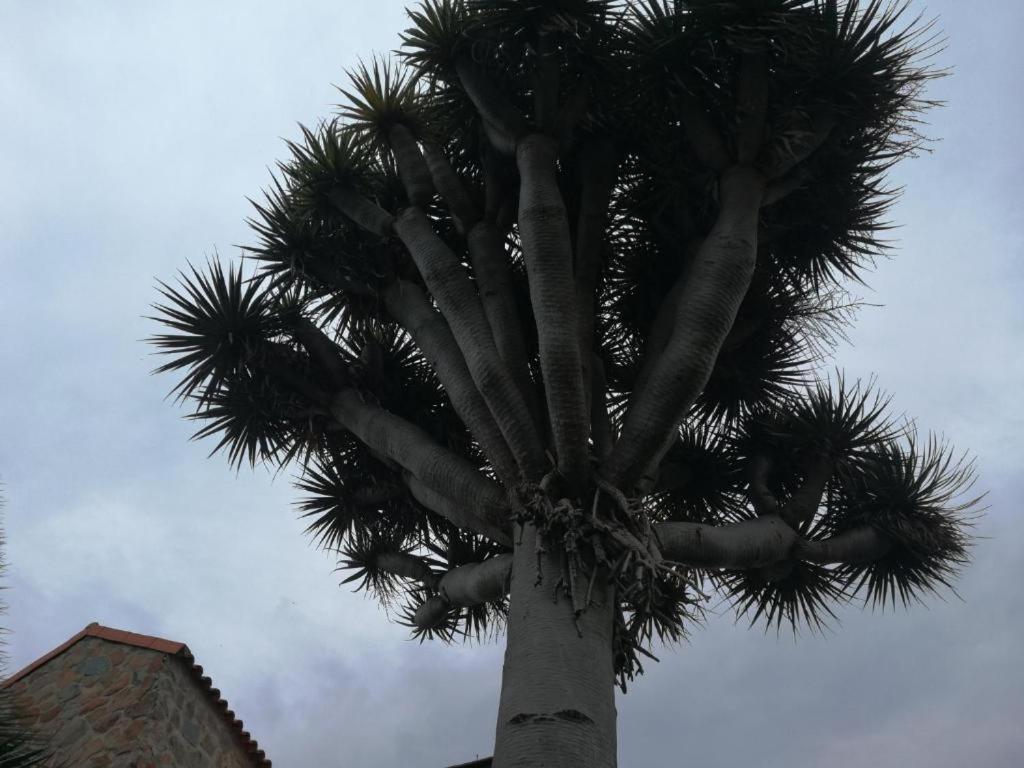 Casa El Drago-Tafira Baja Appartement Las Palmas Buitenkant foto
